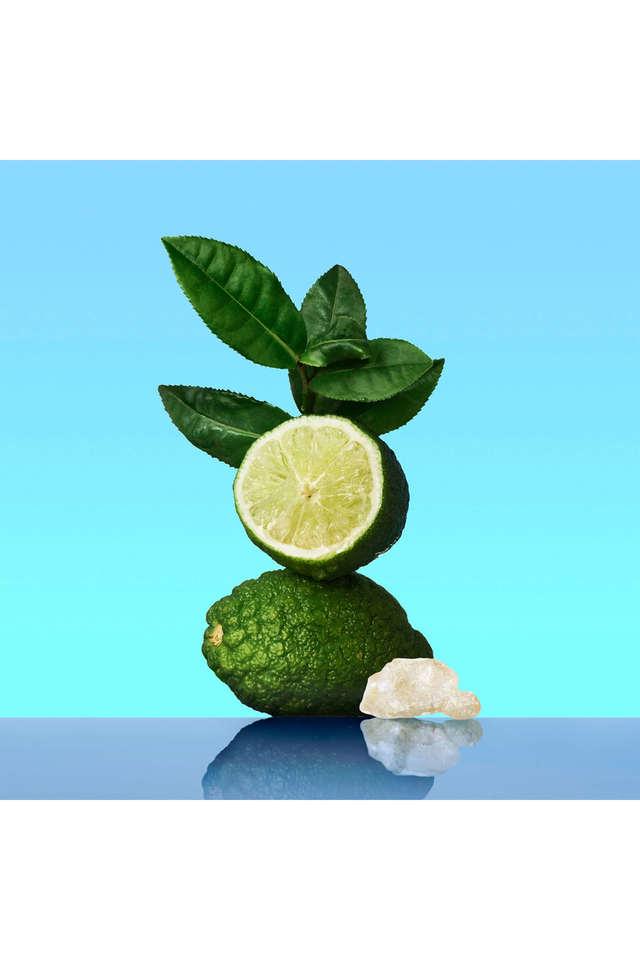 https://images-magento.shoppersstop.com/pub/media/catalog/product/4710785/4710785_UNMAPPED/4710785_UNMAPPED_alt5.jpg_2000Wx3000H