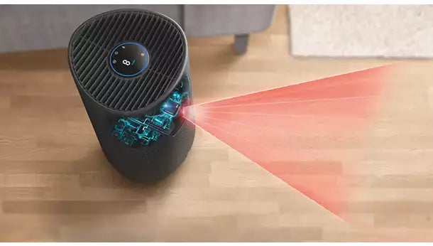 https://cdn.shopify.com/s/files/1/0748/1163/8002/files/AC1711-61_7_febe6cc5-ad71-471d-a6f3-1b1ea03ff066.webp?v=1756195441