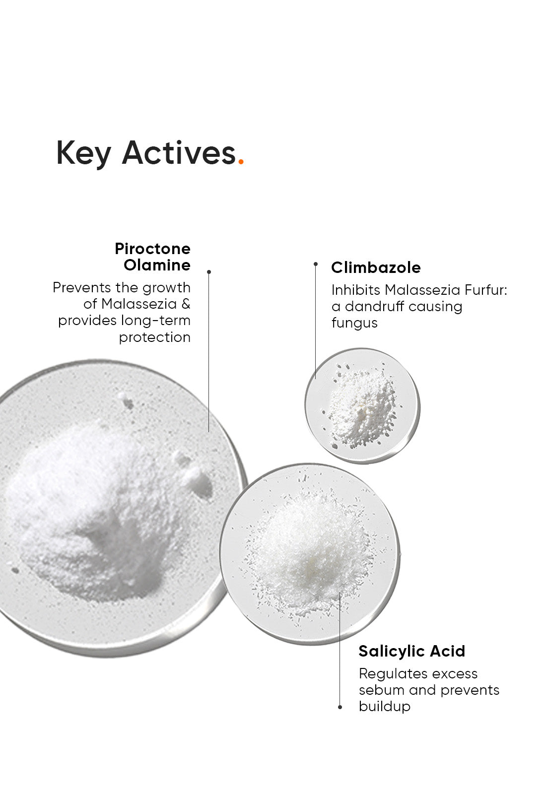 Minimalist Anti Dandruff Shampoo with Salicylic Acid for Healthy Scalp