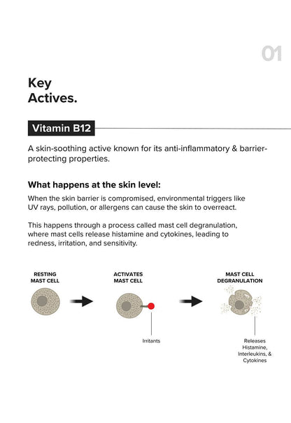 Minimalist Vitamin B12 Repair Complex Face Moisturizer for Redness Relief