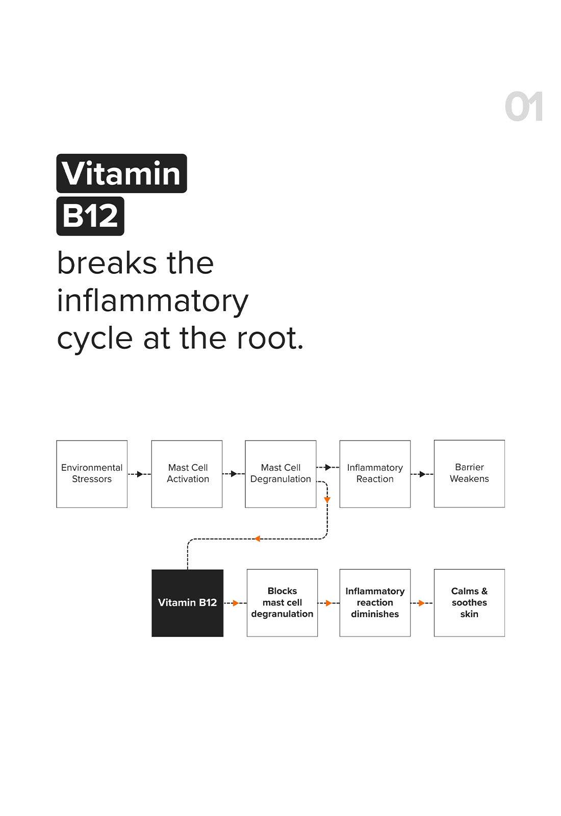 Minimalist Vitamin B12 Repair Complex Face Moisturizer for Redness Relief