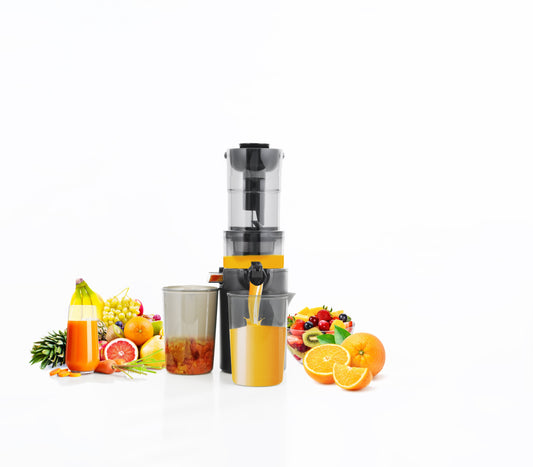https://cdn.shopify.com/s/files/1/0380/3869/files/Capture00420_copy_New.jpg?v=1728469907
