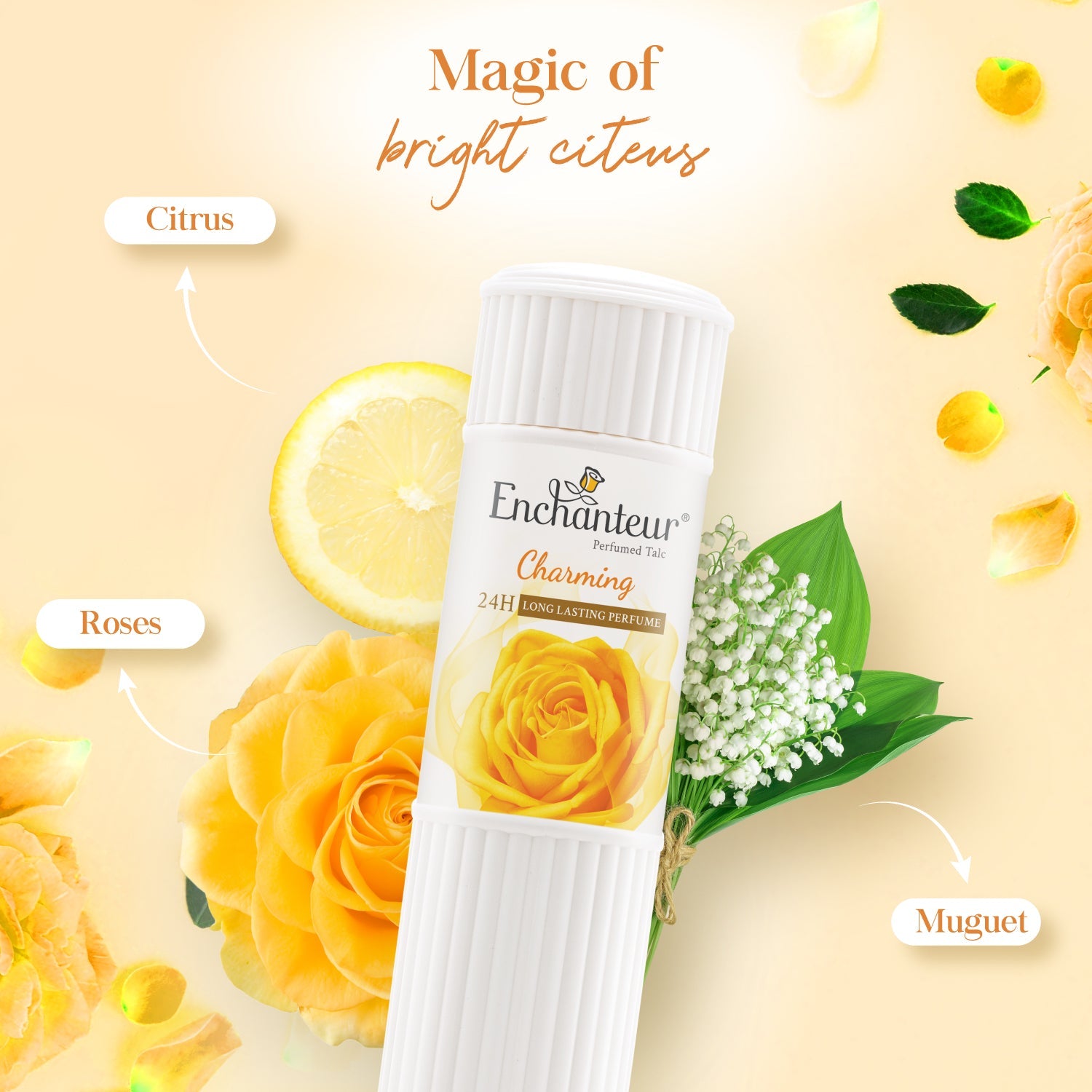 https://cdn.shopify.com/s/files/1/0642/3796/1437/files/Charming-Talc-Slide-4_1000x1000_522d1249-64d3-43a3-b84e-2f4349bf637a.jpg?v=1728368708