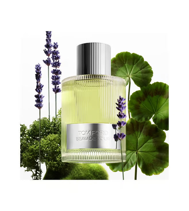 Tom Ford Beau De Jour Eau De Parfum Men 100ml