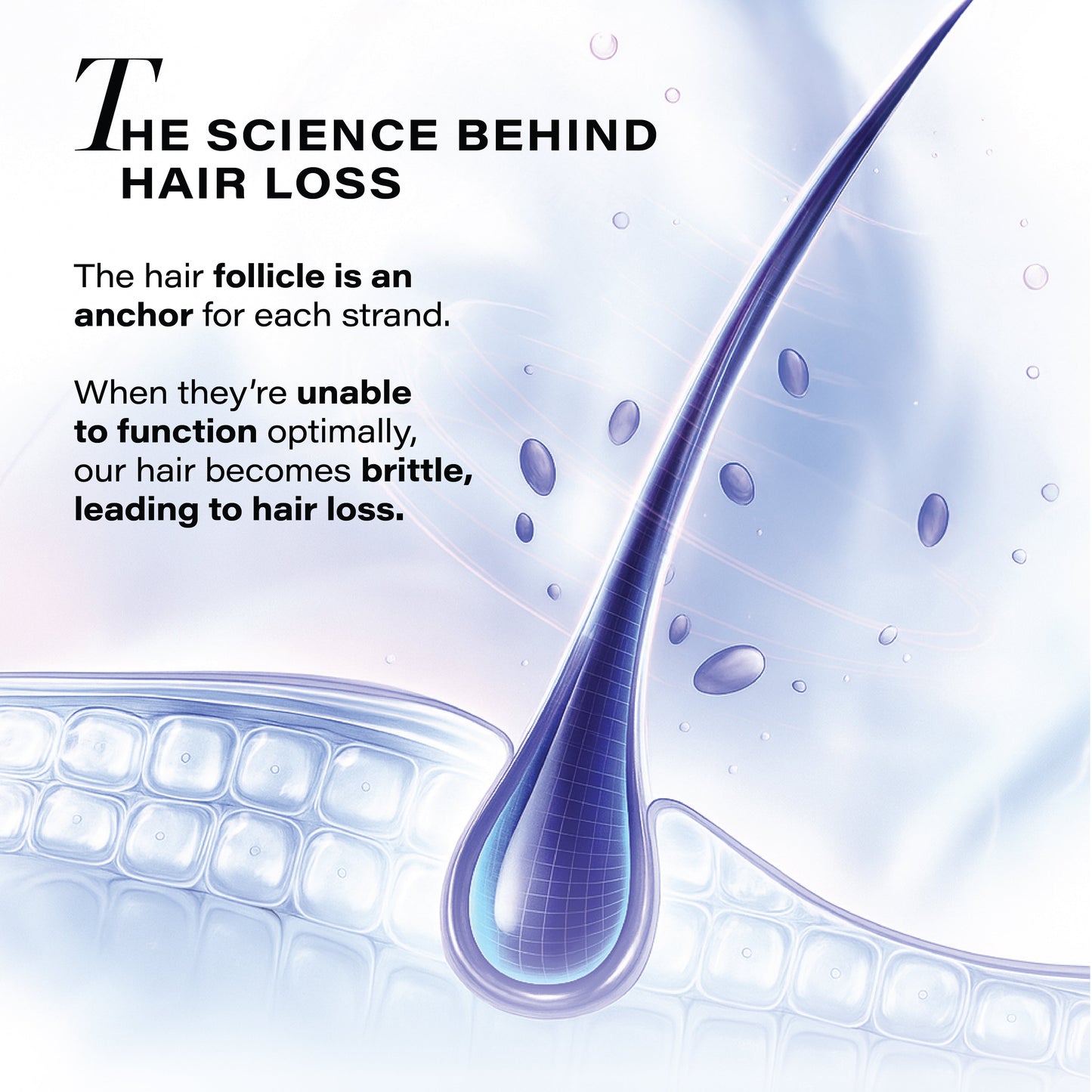 Novology Follicle Revive Hair Growth Serum with 4% Dynagen