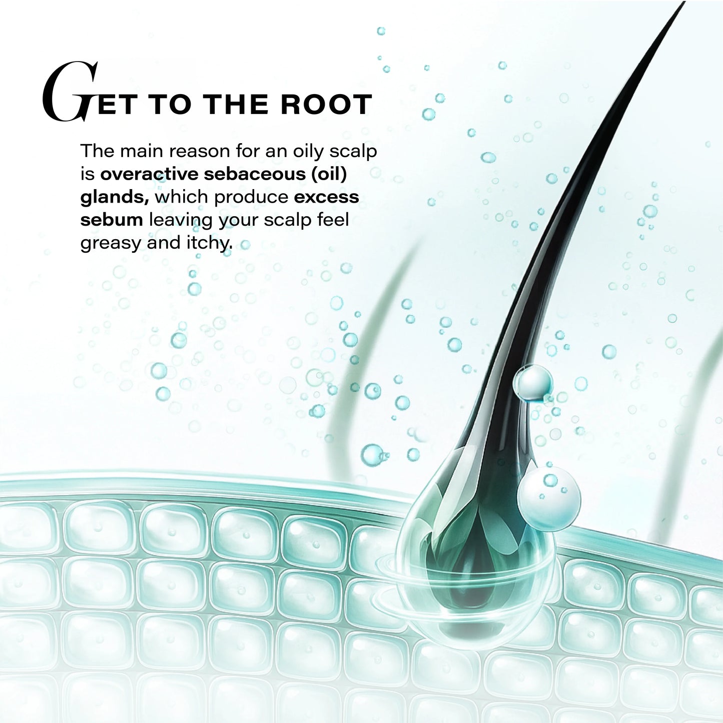 Novology Sebosys Control Scalp Serum 48hr Oil Control 50ml