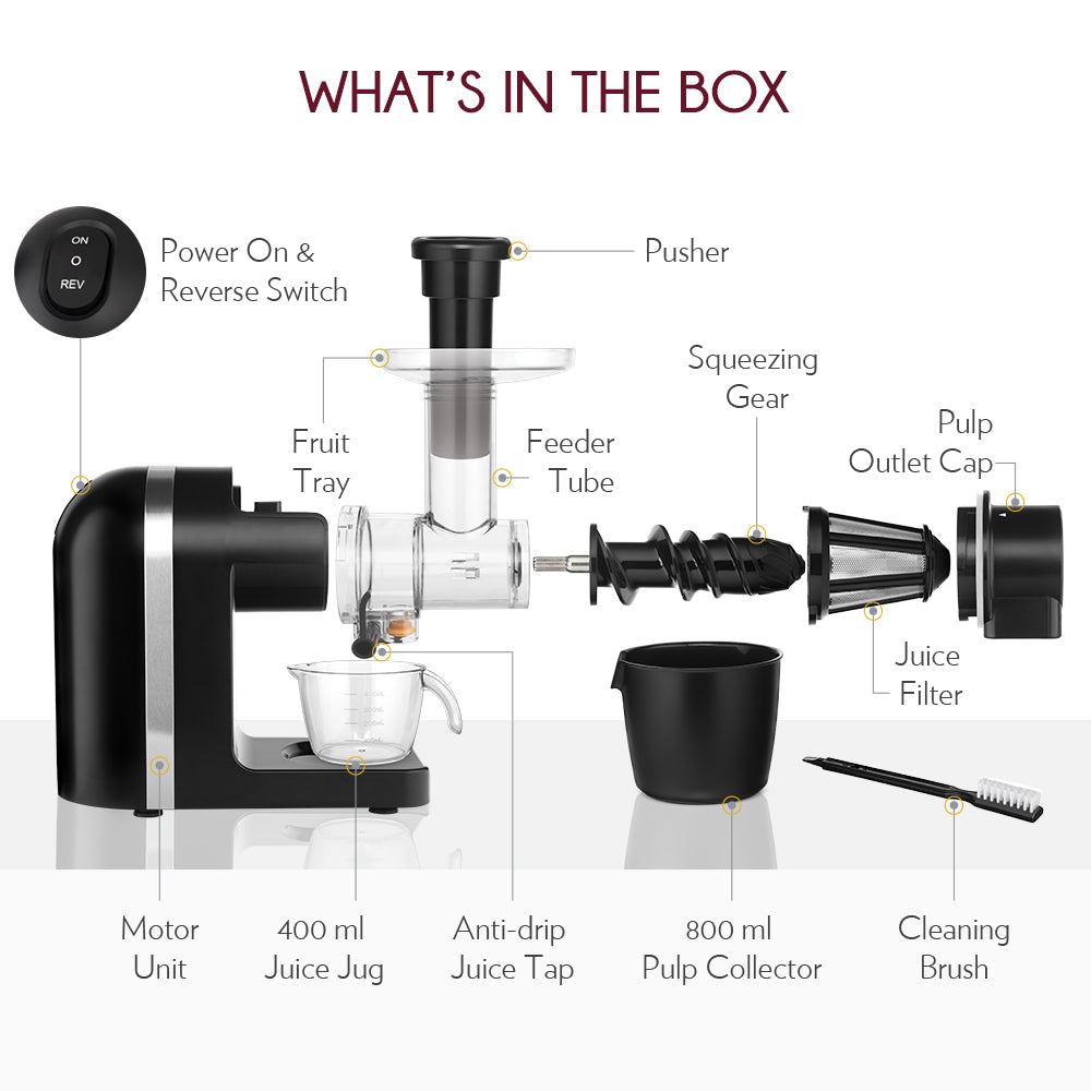 https://cdn.shopify.com/s/files/1/0551/8009/9722/products/my-borosil-juicers-nutririch-cold-press-juicer-31519884738698.jpg?v=1677186159