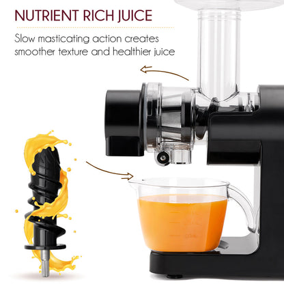 https://cdn.shopify.com/s/files/1/0551/8009/9722/products/my-borosil-juicers-nutririch-cold-press-juicer-31519884771466.jpg?v=1677185979