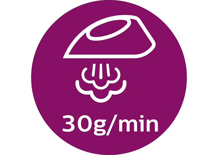 Philips EasySpeed Plus 2400W Steam Iron with Ceramic Soleplate